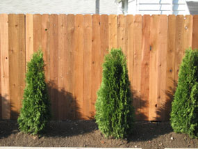 wood-fence-small
